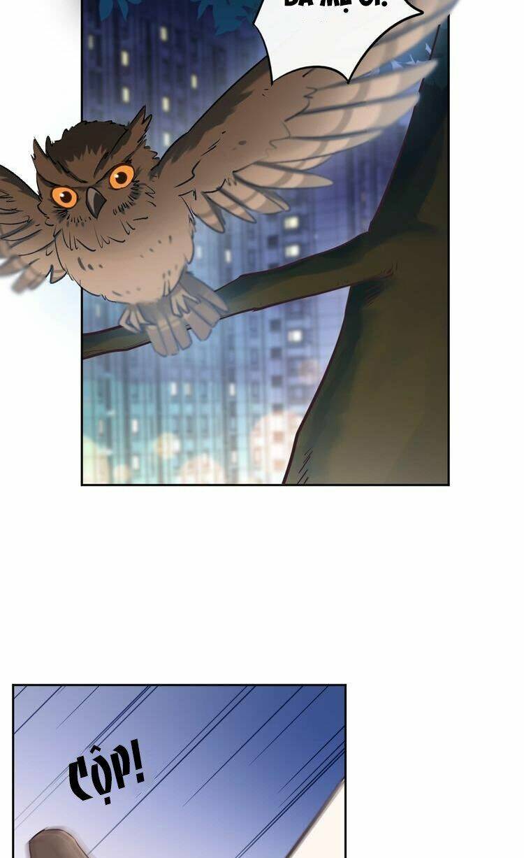 page_5.jpg