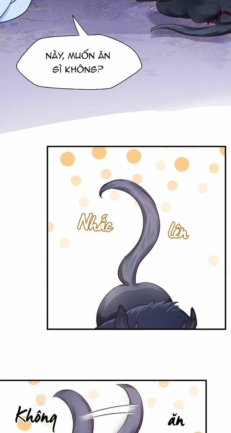 page_23.jpg