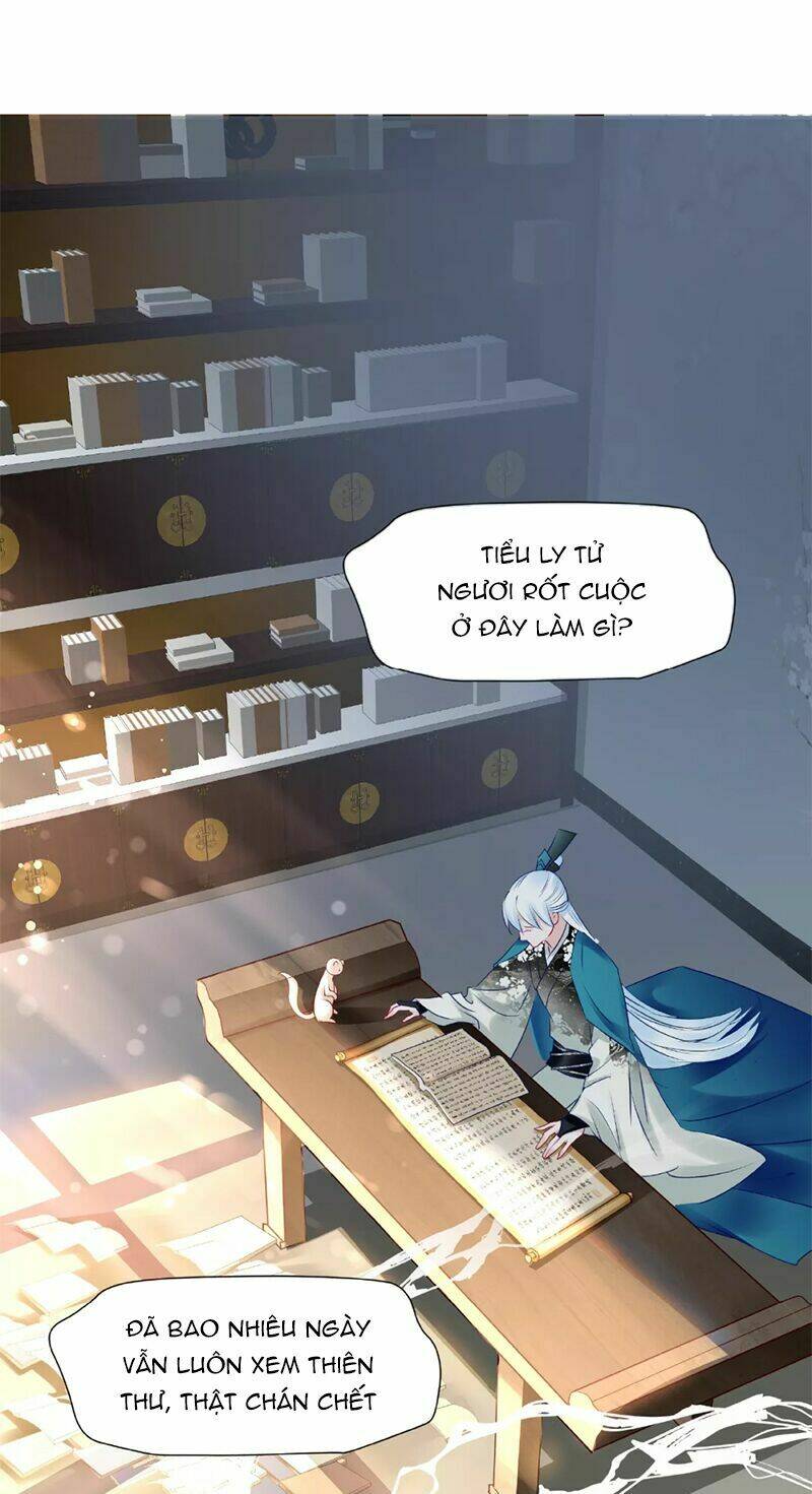 page_19.jpg