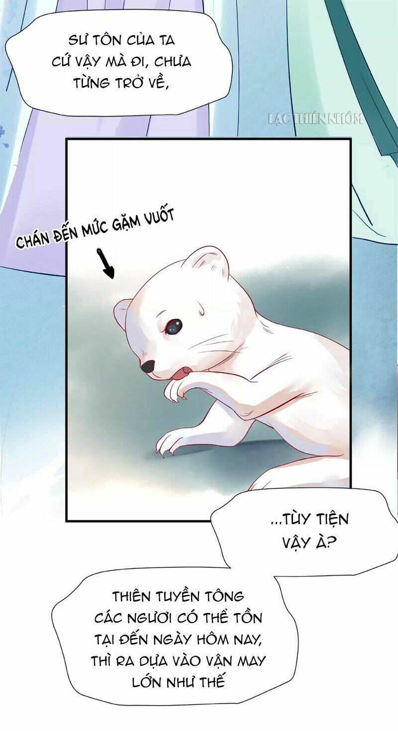 page_22.jpg