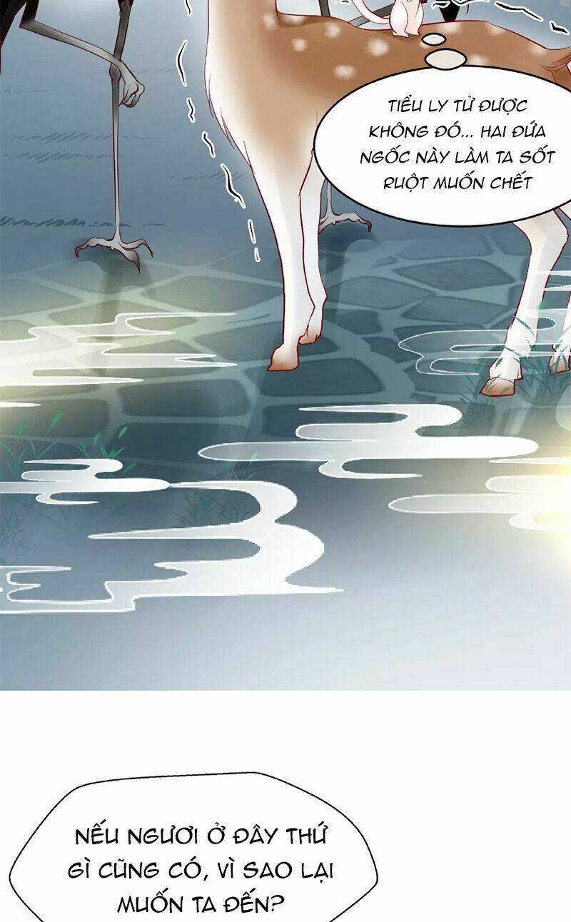 page_41.jpg