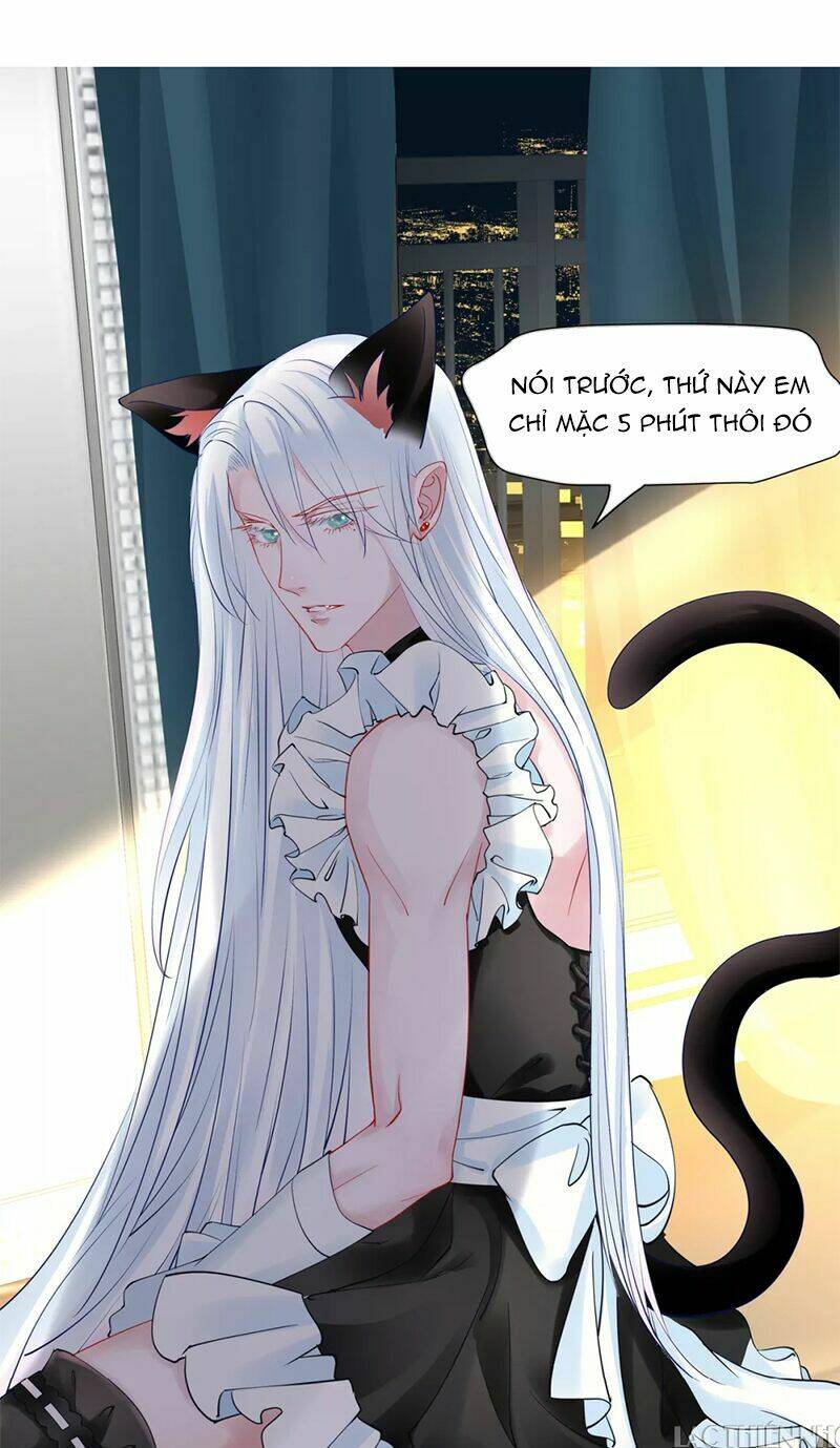 page_41.jpg