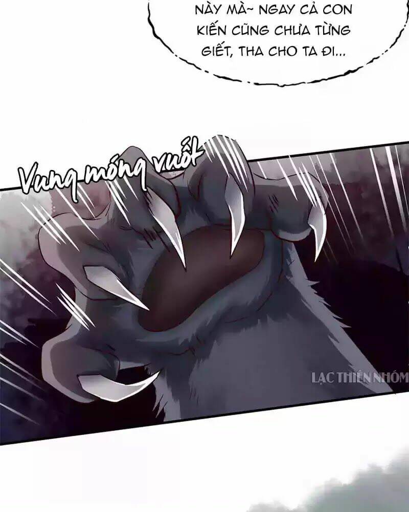 page_13.jpg