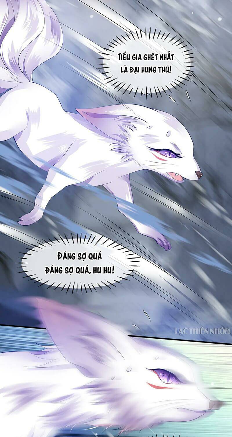 page_5.jpg
