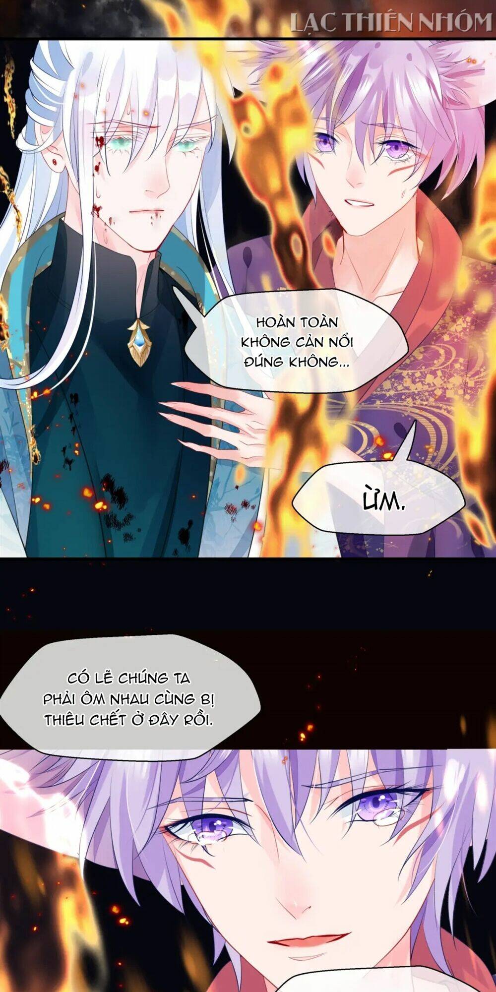 page_19.jpg