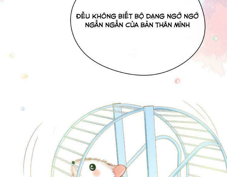 page_105.jpg
