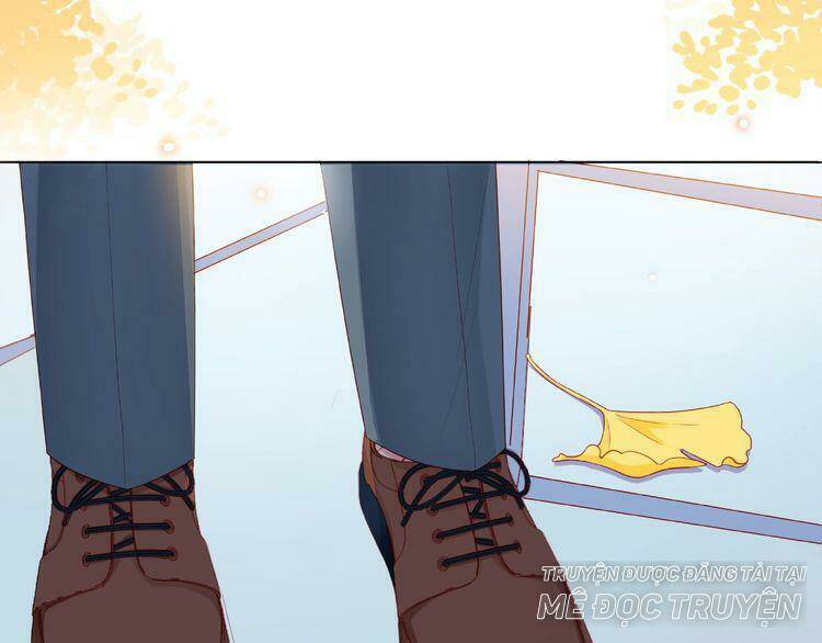 page_16.jpg