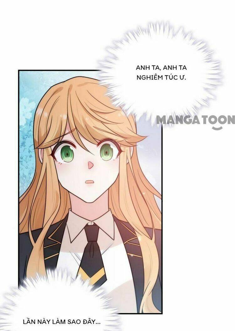 page_23.jpg