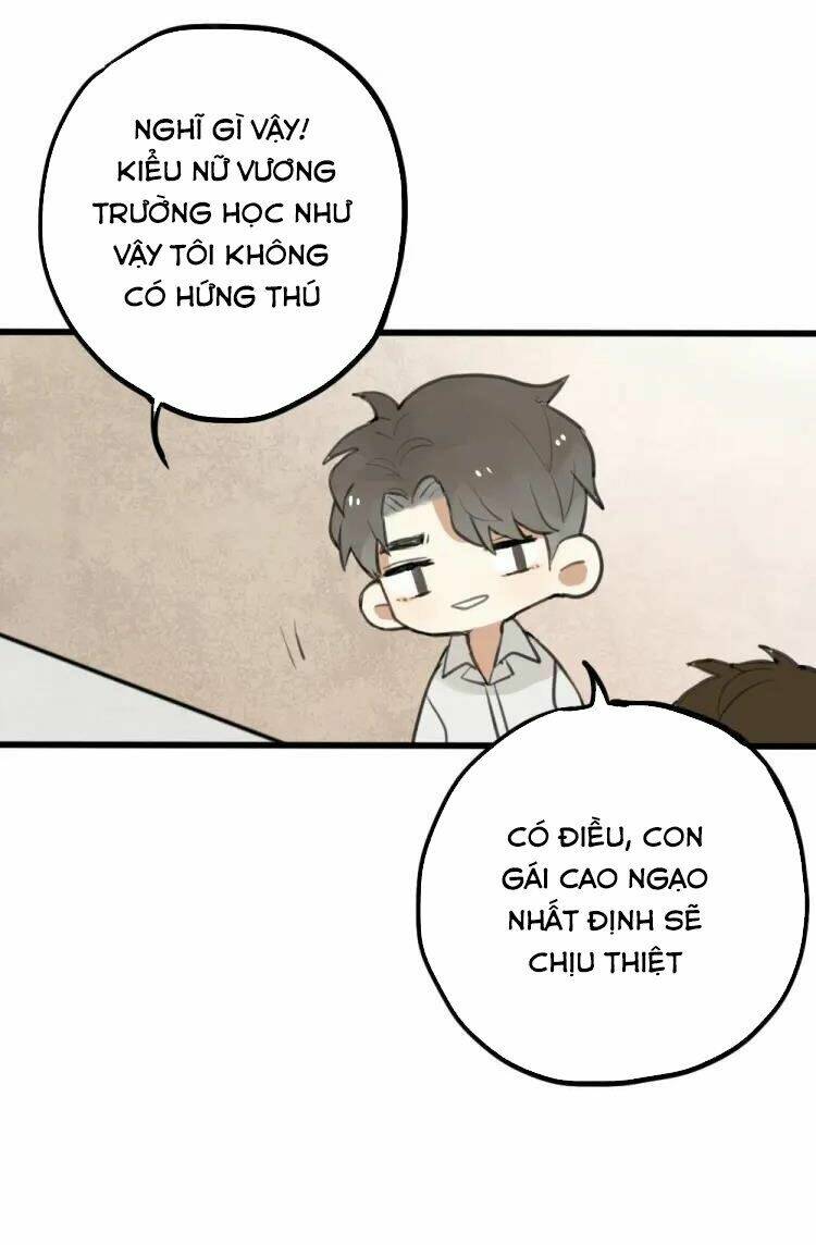 page_12.jpg