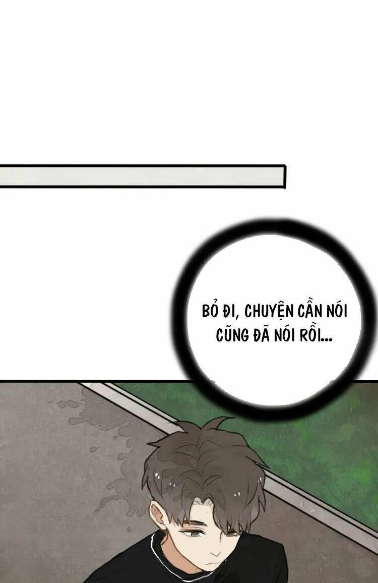 page_15.jpg