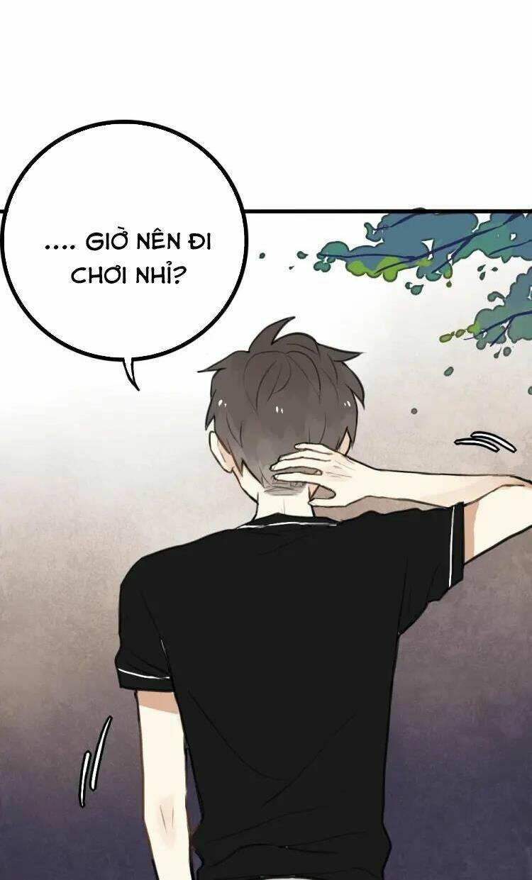 page_19.jpg