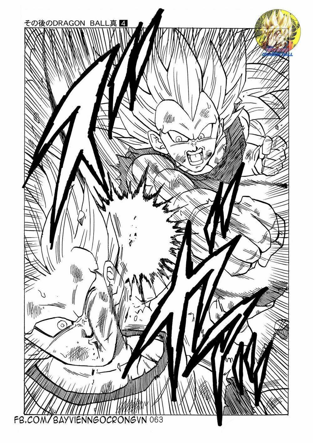 page_19.jpg