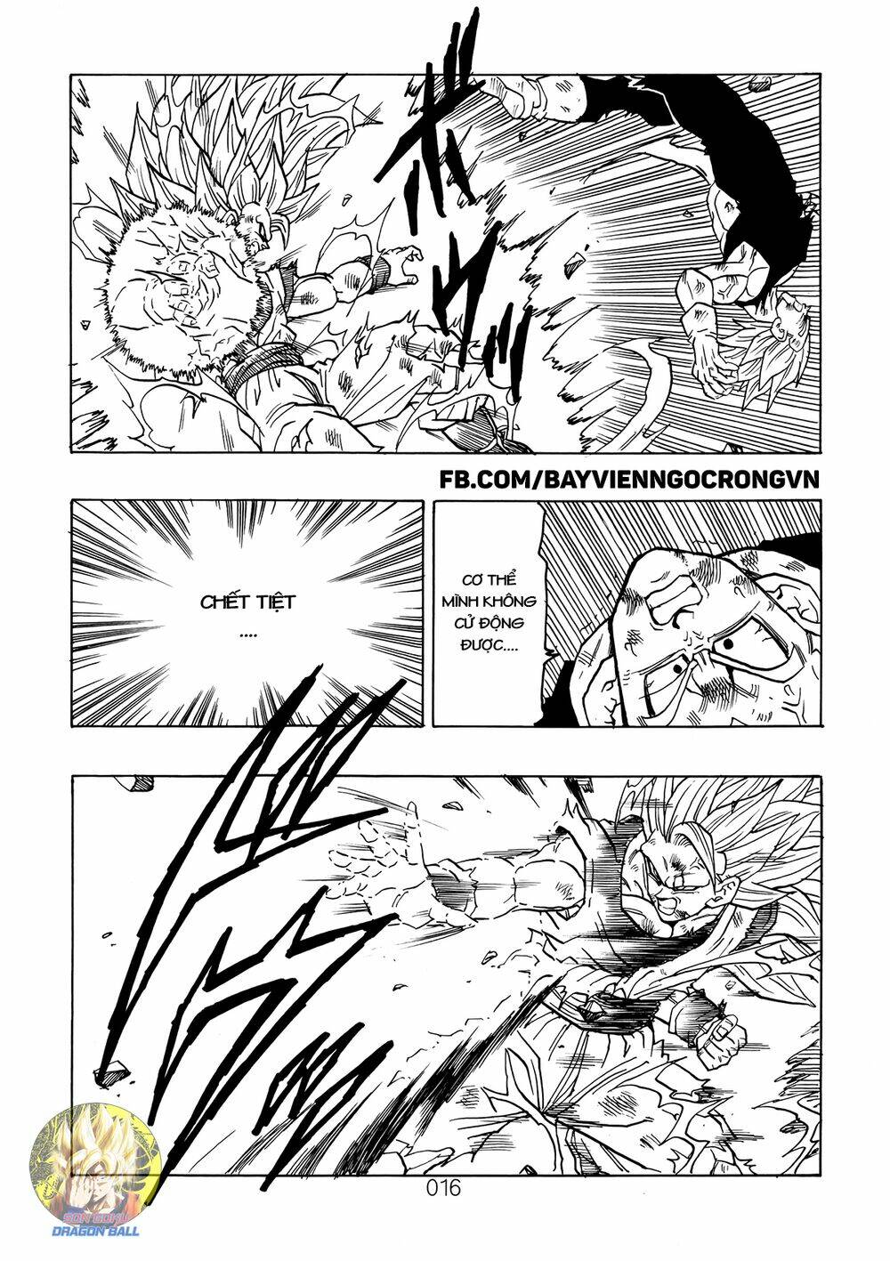 page_17.jpg