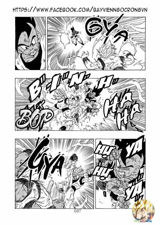 page_13.jpg