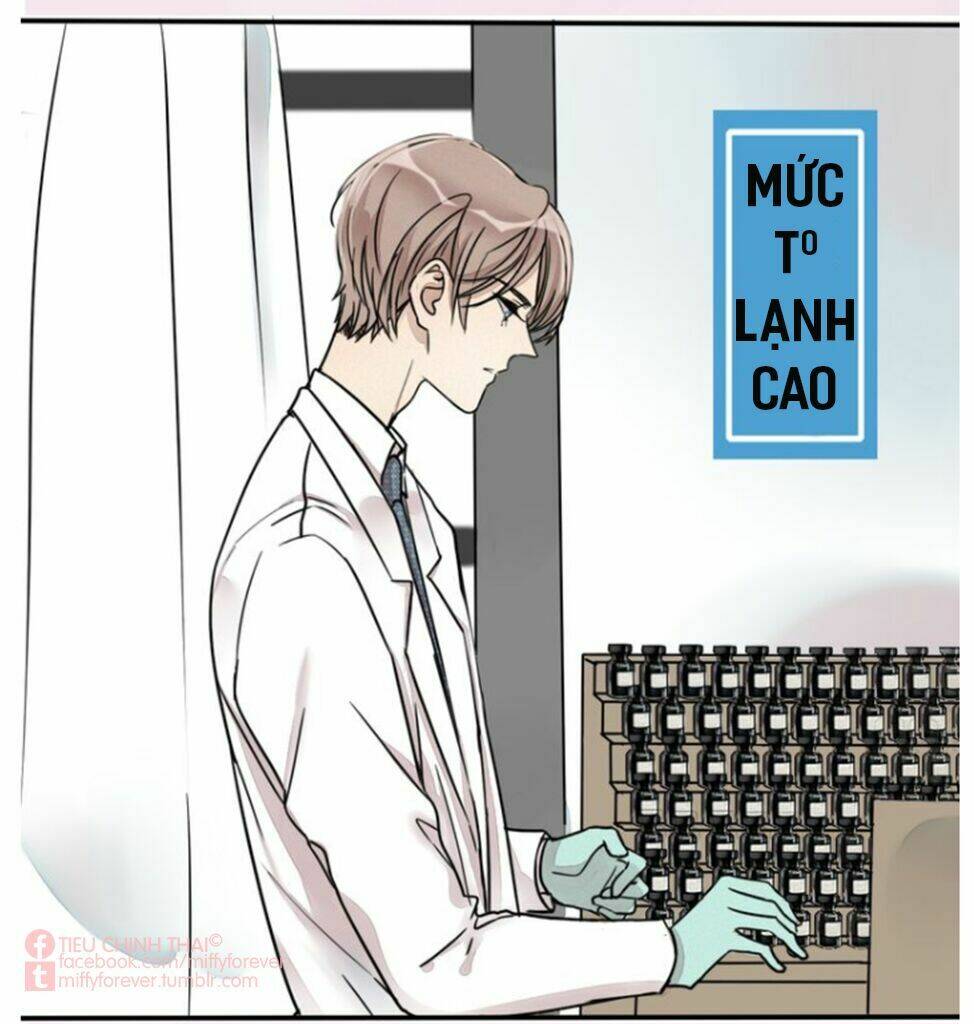 page_19.jpg