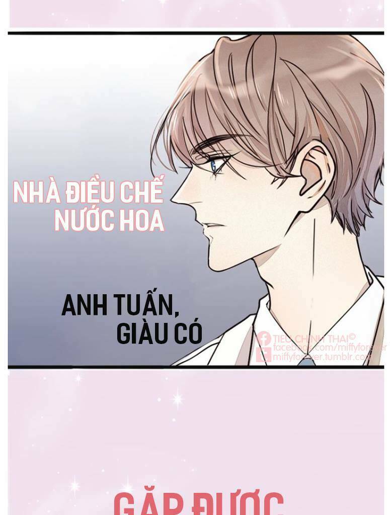 page_25.jpg