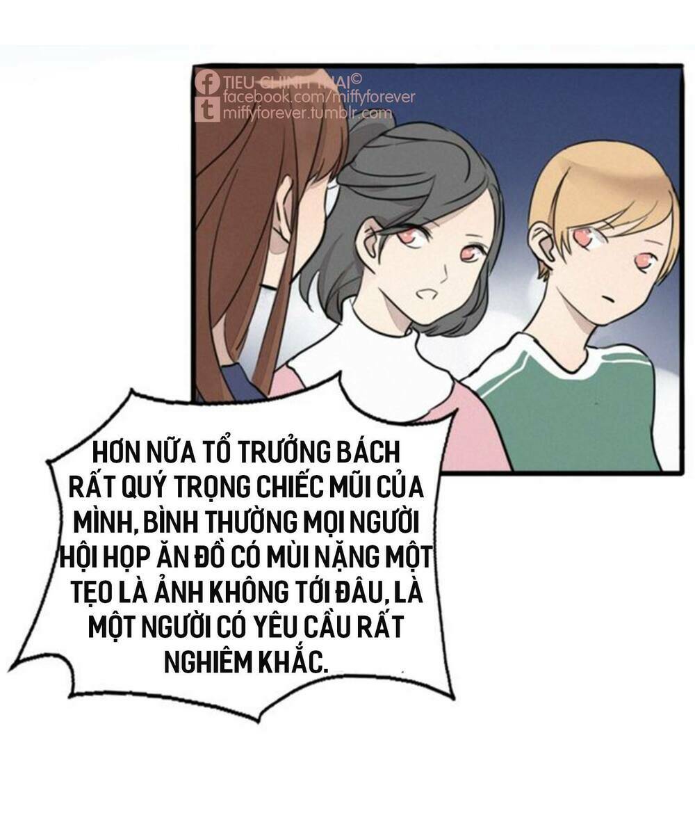 page_19.jpg
