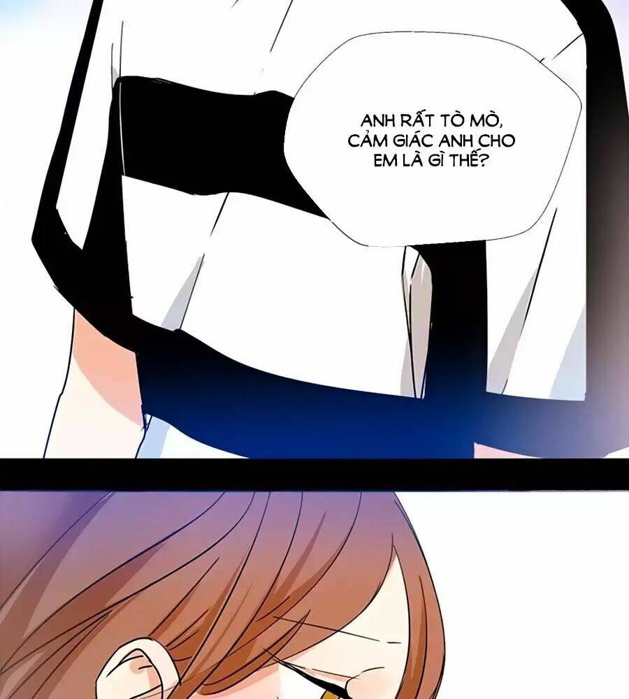 page_28.jpg