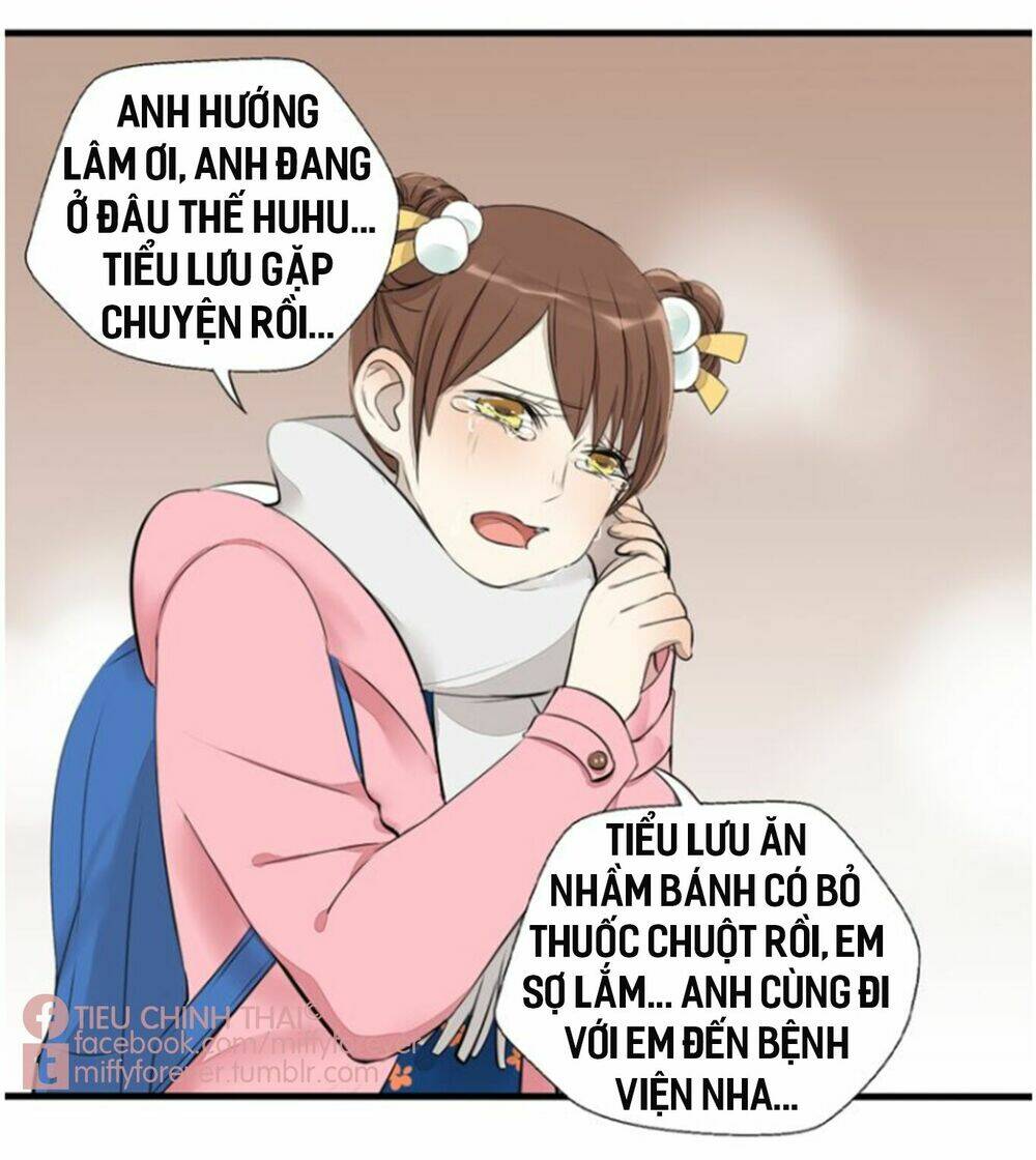 page_13.jpg