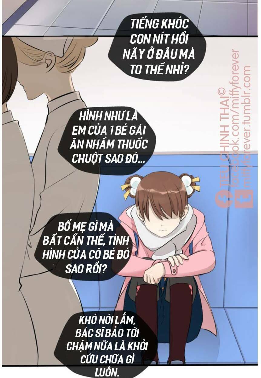 page_19.jpg