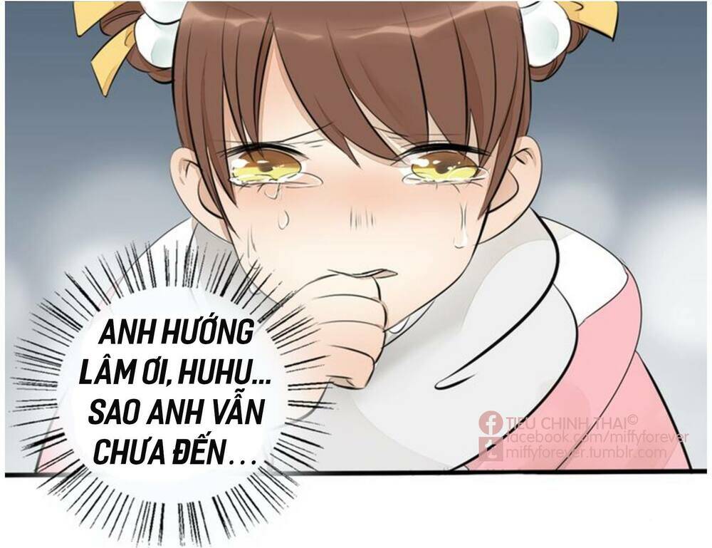 page_20.jpg