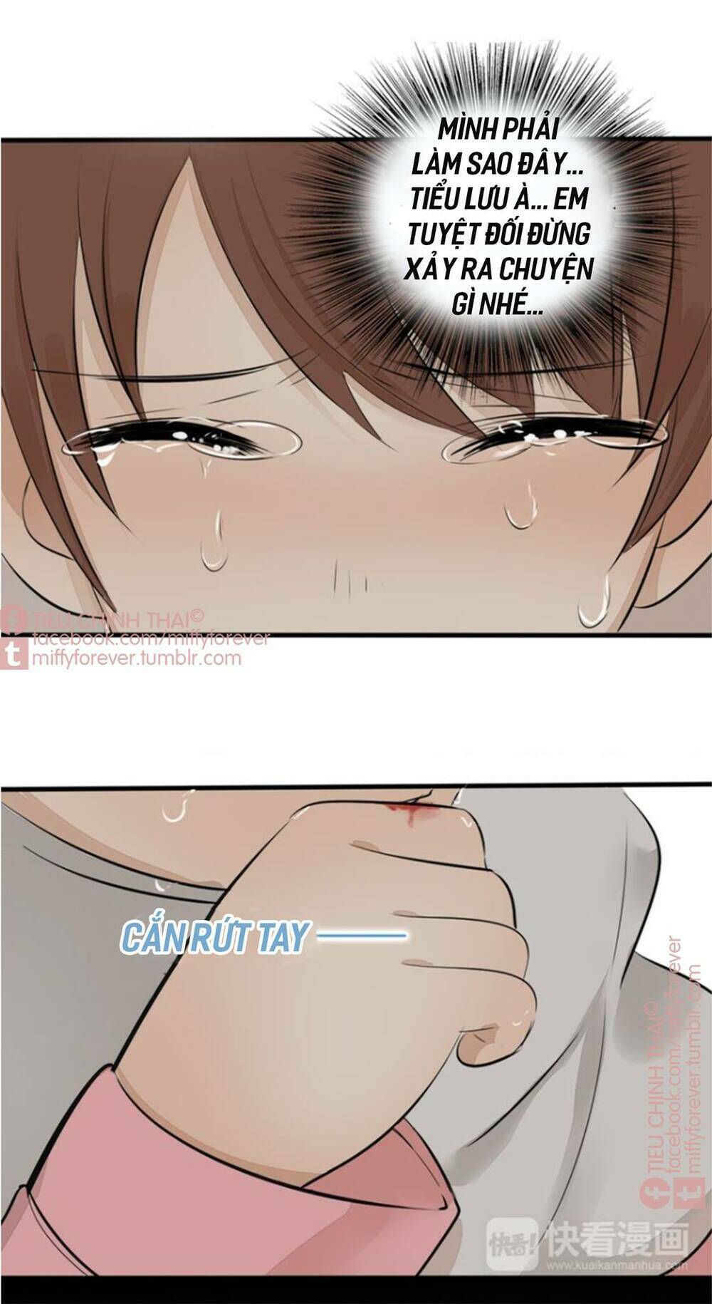 page_21.jpg