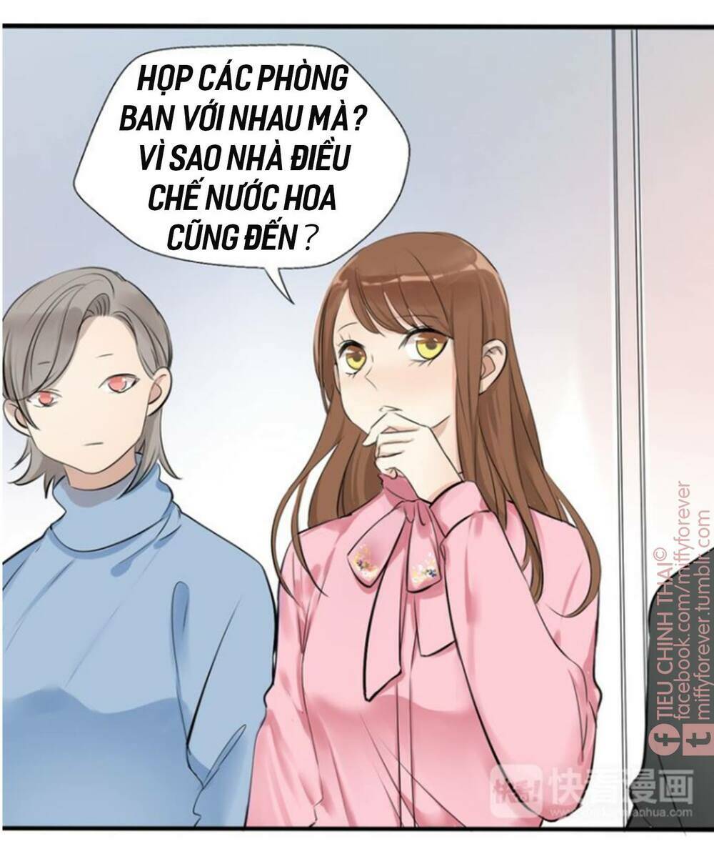 page_28.jpg