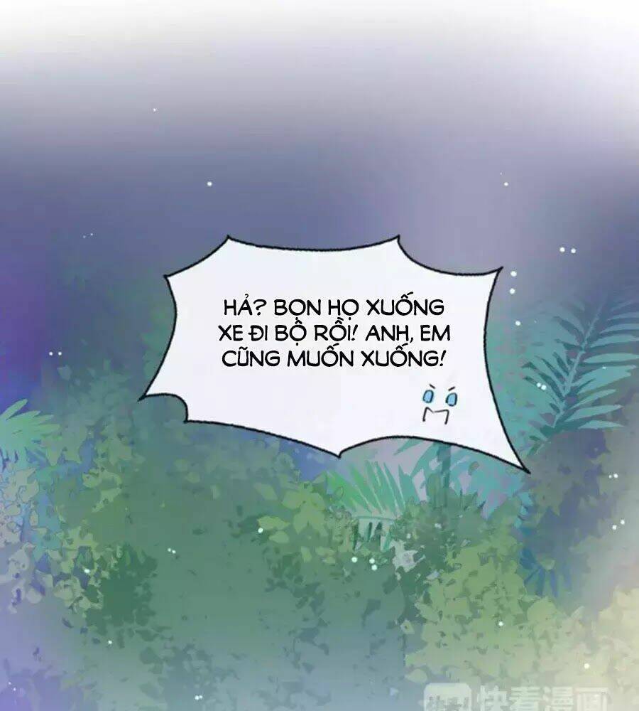 page_29.jpg