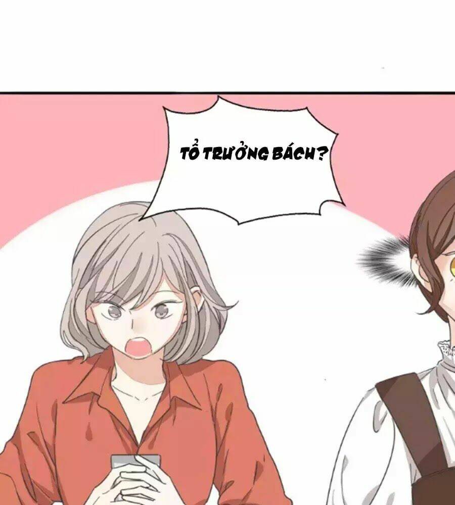 page_21.jpg