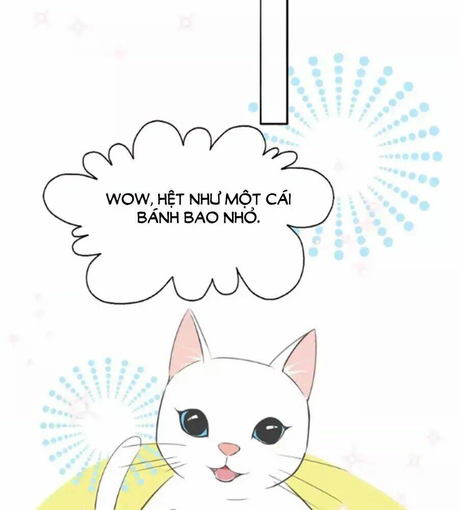 page_36.jpg