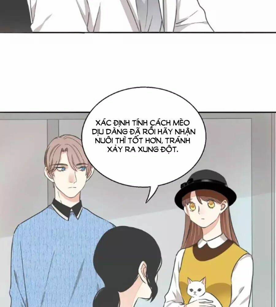 page_11.jpg