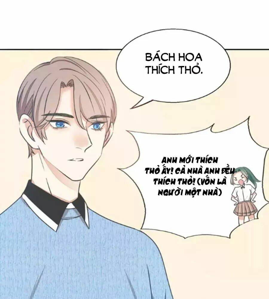 page_16.jpg
