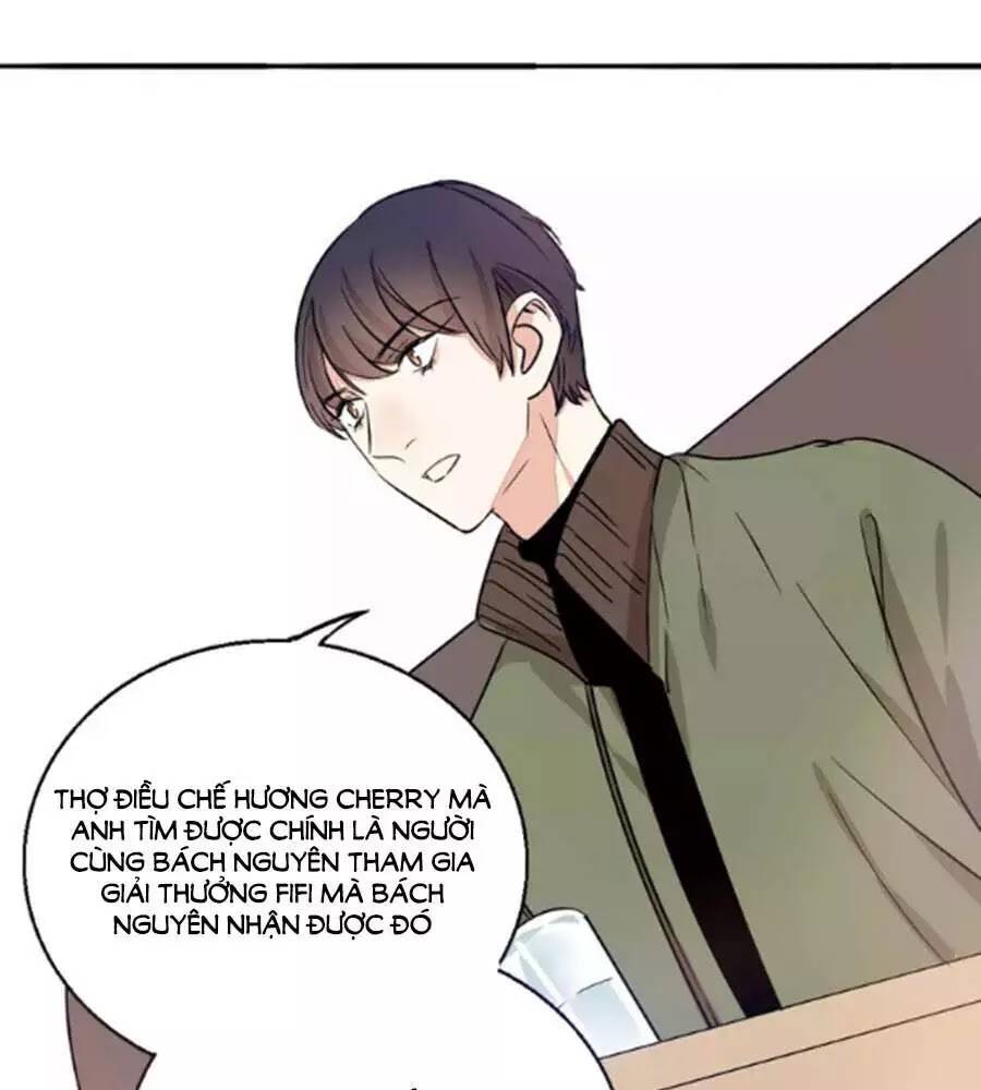 page_41.jpg