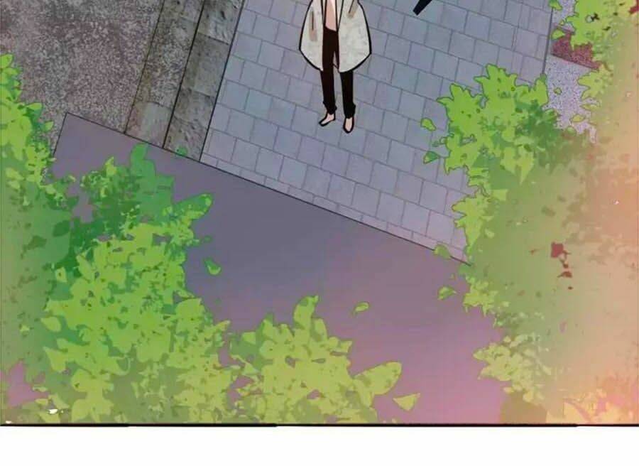 page_31.jpg