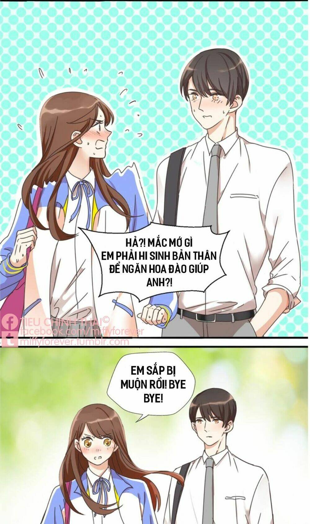 page_17.jpg