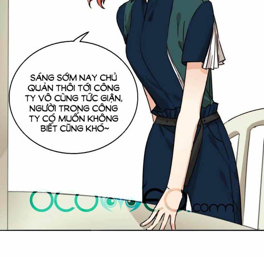 page_16.jpg