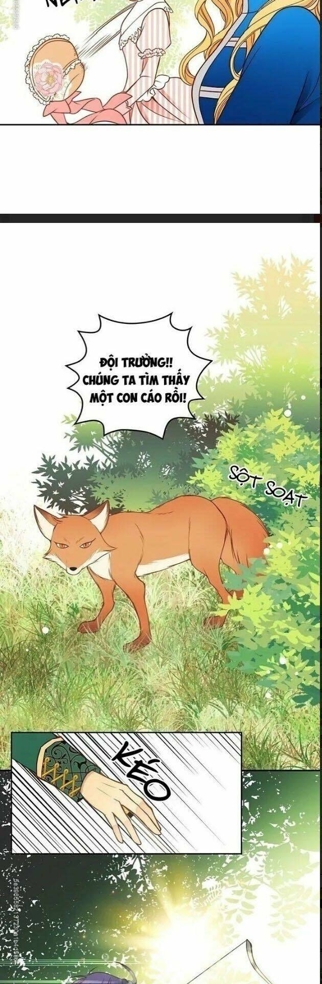 page_19.jpg