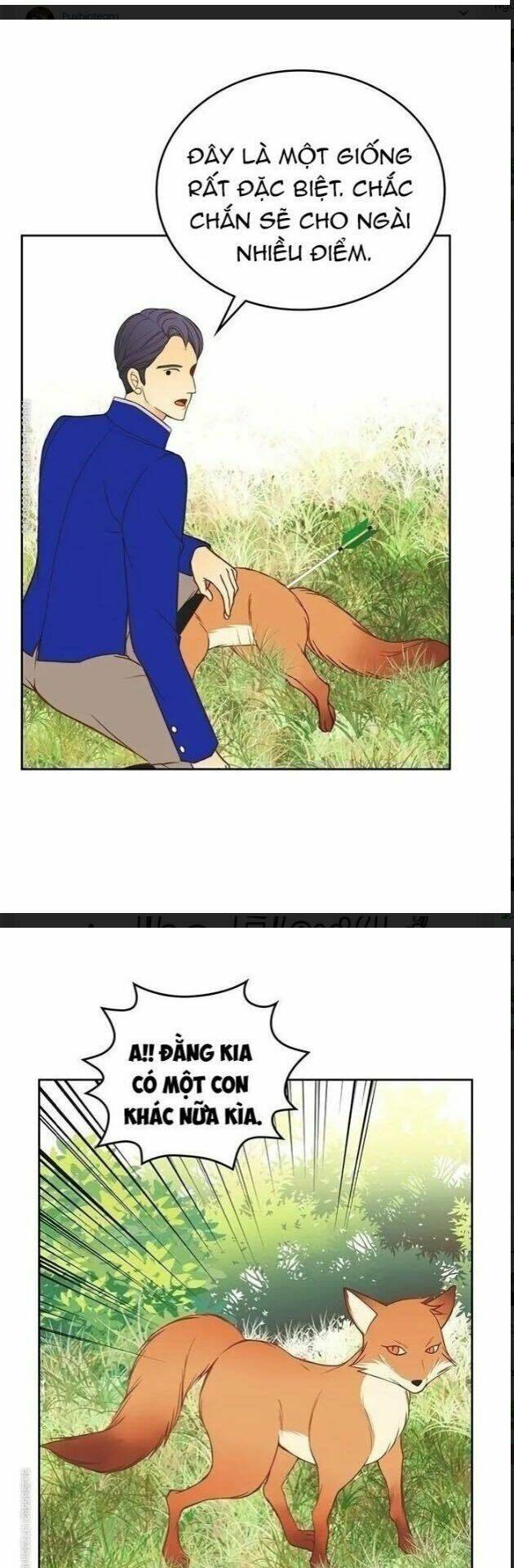 page_22.jpg