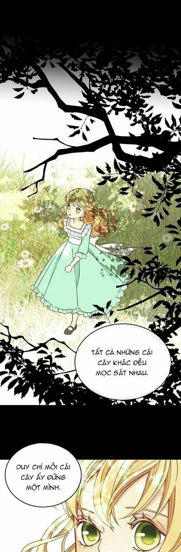 page_28.jpg