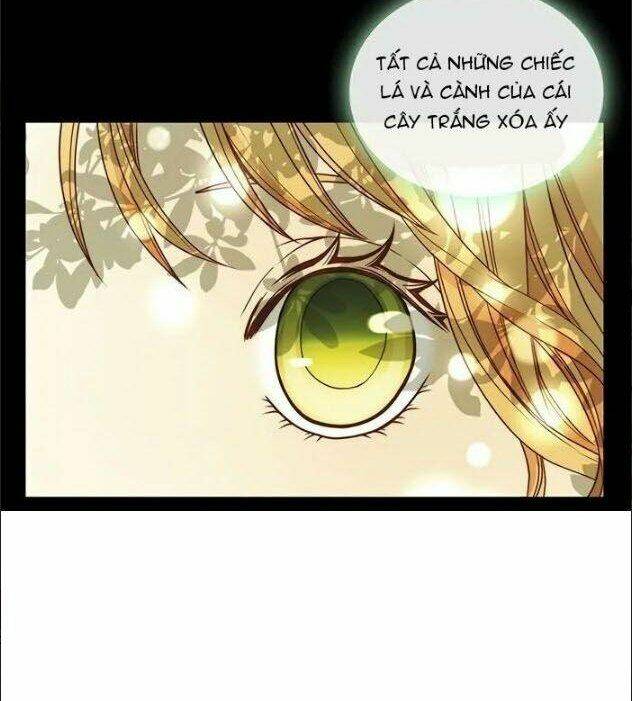 page_35.jpg