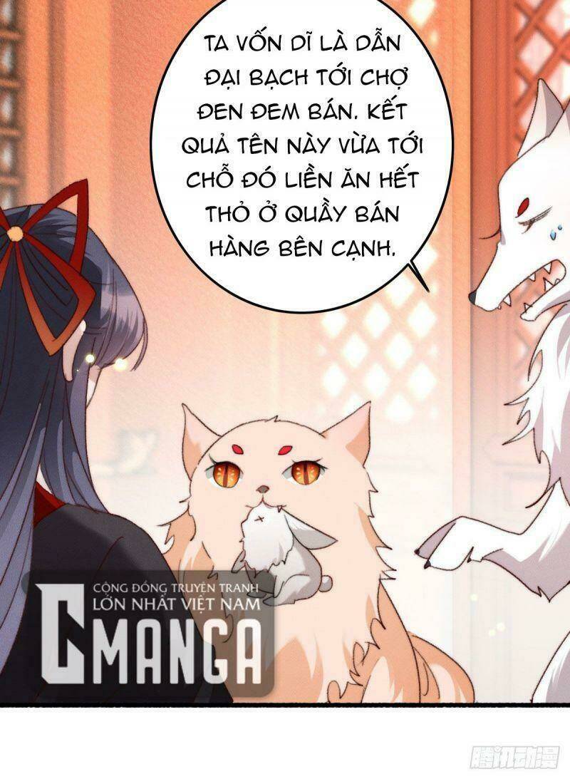 page_29.jpg