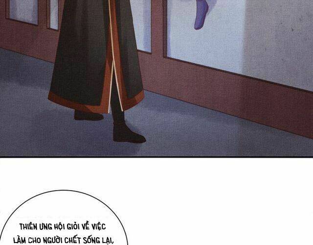 page_28.jpg