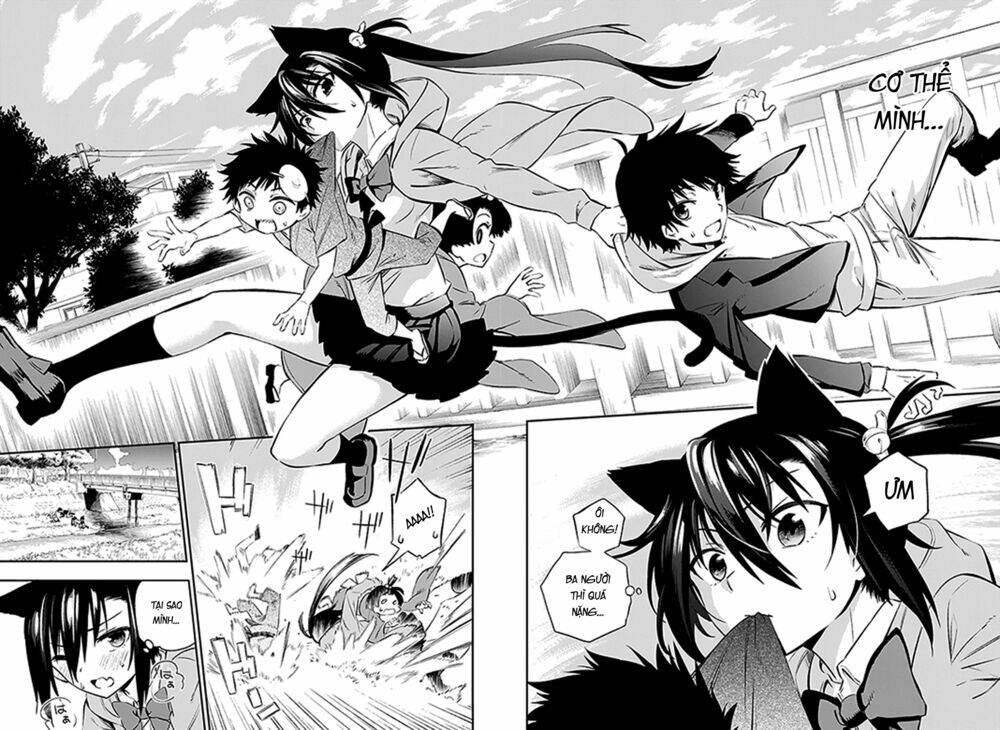 page_25.jpg