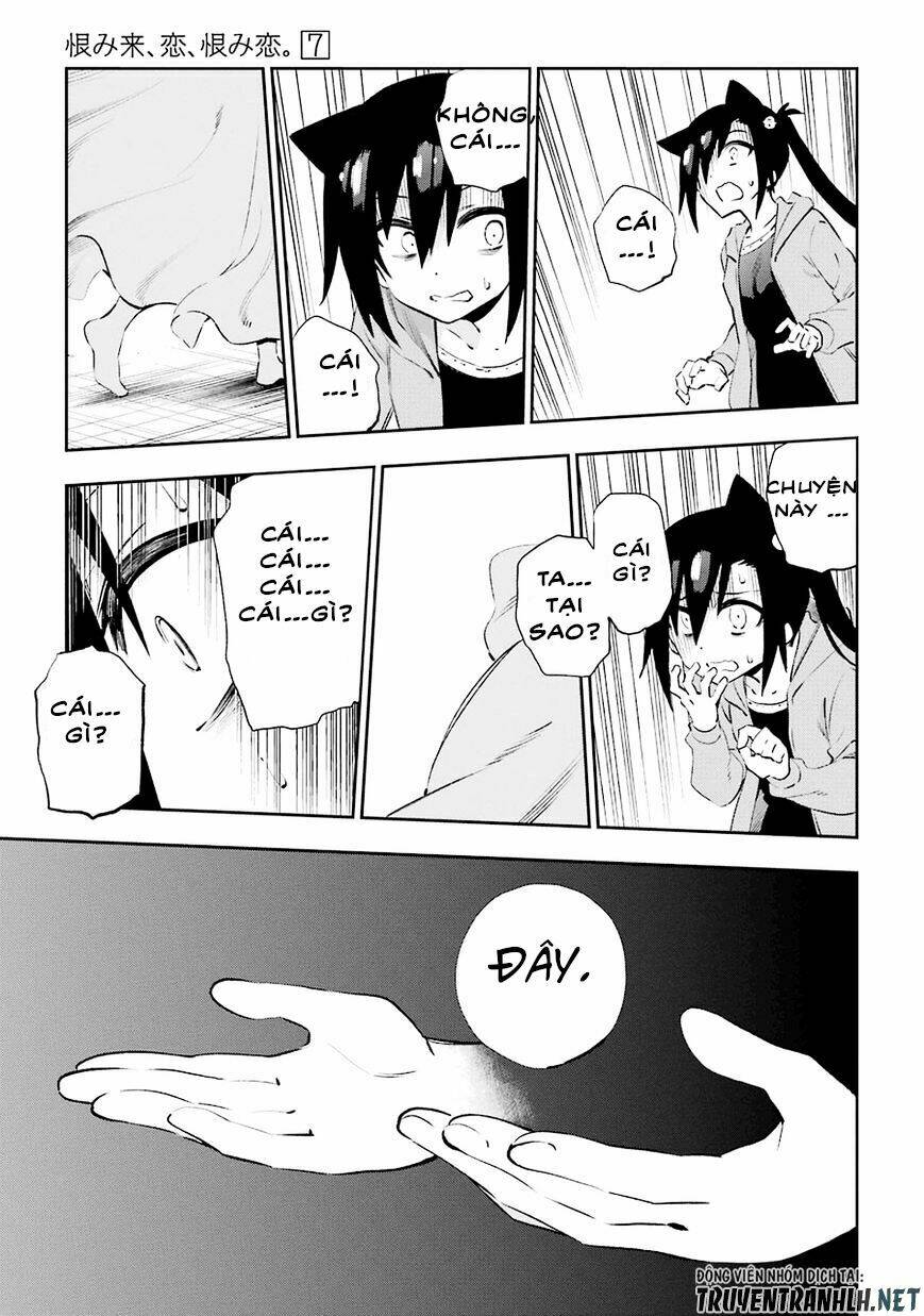 page_24.jpg