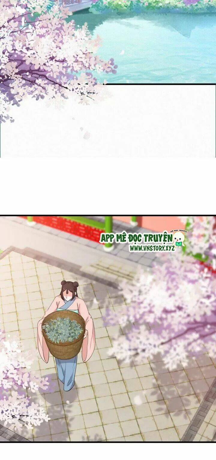 page_11.jpg