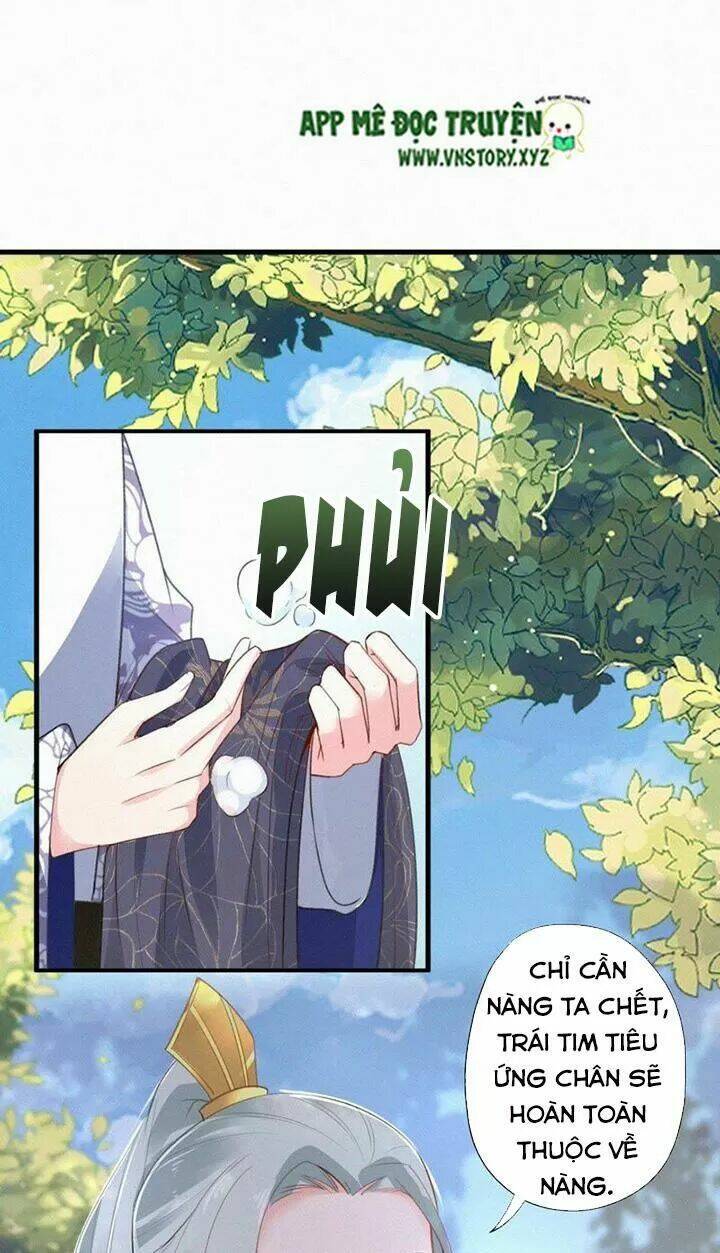 page_29.jpg