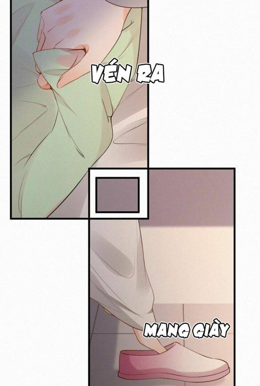 page_22.jpg