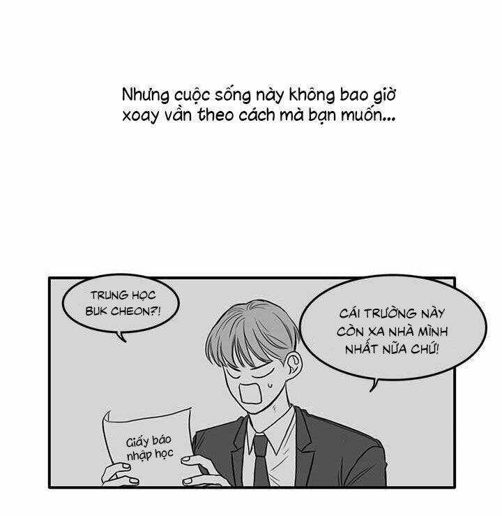 page_20.jpg
