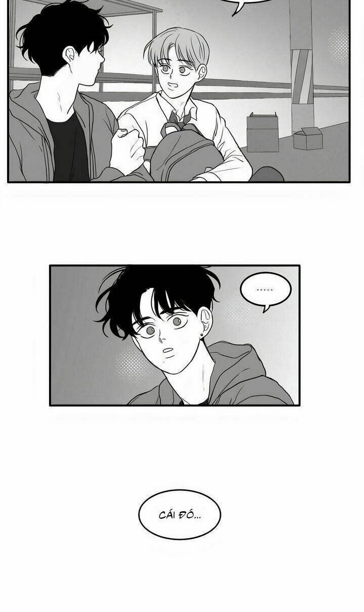 page_19.jpg