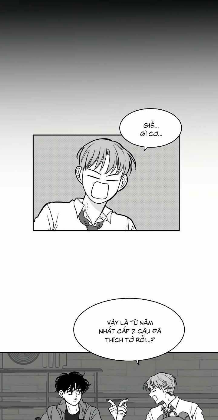 page_21.jpg